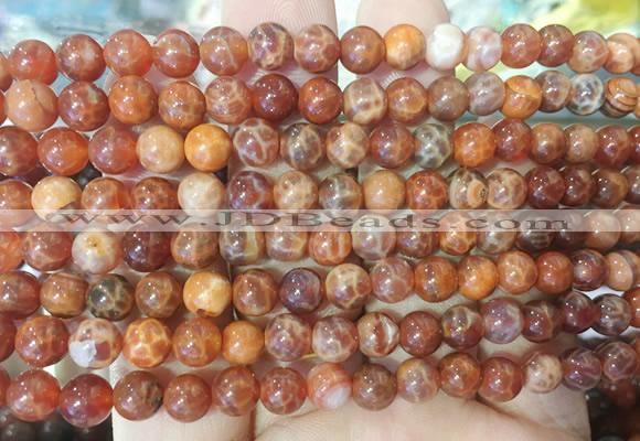 AGBS308 15 inches 6mm round red dragon veins agate beads wholesale