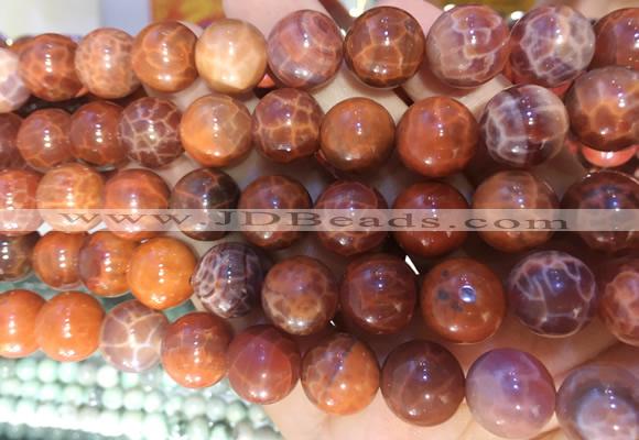 AGBS316 15 inches 12mm round red dragon veins agate beads wholesale