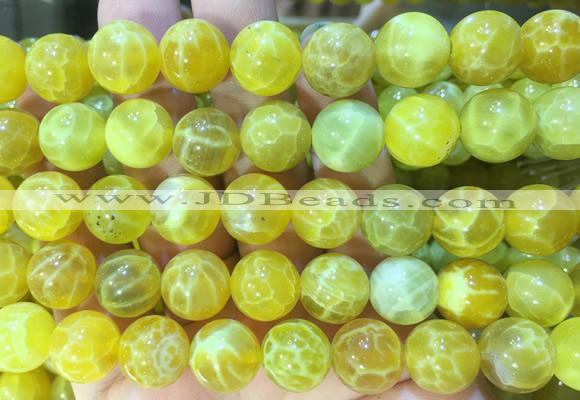 AGBS321 15 inches 12mm round yellow dragon veins agate beads wholesale