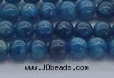 CAP361 15.5 inches 6mm round apatite gemstone beads wholesale