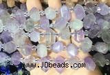 CBBS210 Top drilled 7*16mm - 11*25mm hexahedral prism lavender amethyst beads wholesale