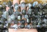 CBBS221 Top drilled 7*16mm - 11*25mm hexahedral prism labradorite beads wholesale