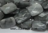 CEE60 15.5 inches 10*14mm faceted rectangle eagle eye jasper beads