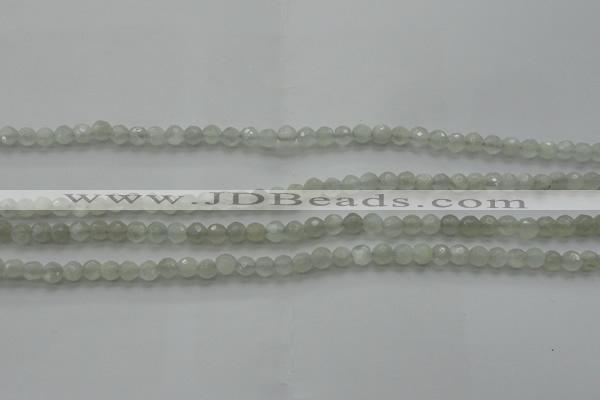 CMS1054 15.5 inches 4mm faceted round grey moonstone beads wholesale