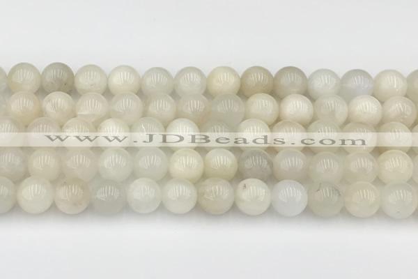 CMS2028 15.5 inches 8mm round white moonstone beads wholesale