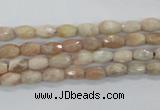 CMS99 15.5 inches 5*7mm faceted rice moonstone gemstone beads
