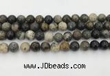 COP1603 15.5 inches 10mm round moss opal beads wholesale