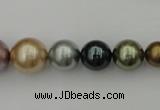 CSB409 15.5 inches 8mm - 16mm round mixed color shell pearl beads