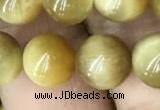 CTE2010 15.5 inches 10mm round golden tiger eye beads wholesale