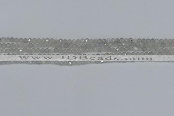 CTG613 15.5 inches 3mm faceted round labradorite beads