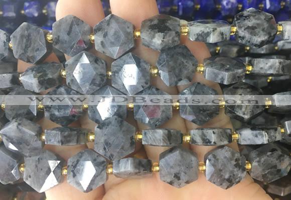 HABS29 15 inches 12mm faceted hexagon black labradorite beads wholesale