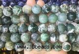 LSBS197 15 inches 16mm round tree agate gemstone beads wholesale