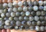LSBS308 15 inches 15mm round labradorite gemstone beads wholesale