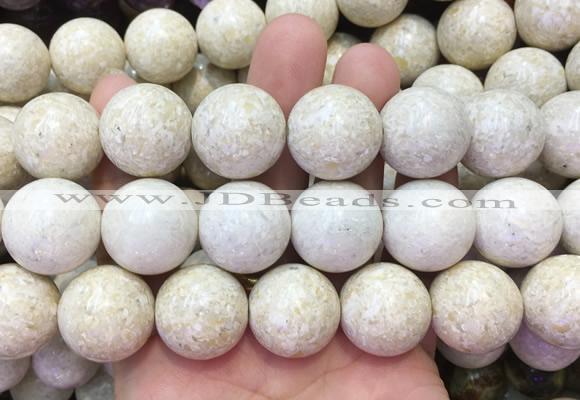LSBS883 15 inches 20mm round white fossil jasper gemstone beads wholesale
