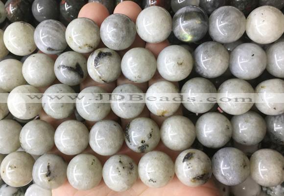 LSBS921 15 inches 16mm round labradorite gemstone beads wholesale