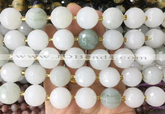 LSBS933 15 inches 16mm faceted round Tianshan jade gemstone beads wholesale