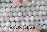MSBS33 15 inches 10mm round green moonstone gemstone beads wholesale