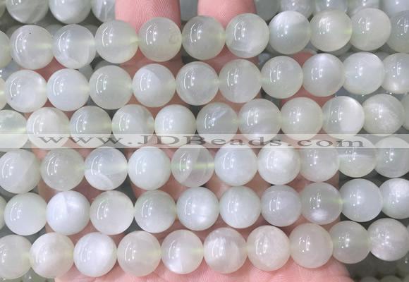 MSBS33 15 inches 10mm round green moonstone gemstone beads wholesale
