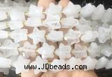 RGBS53 15 inches 14mm faceted star Angola crystal quartz beads wholesale